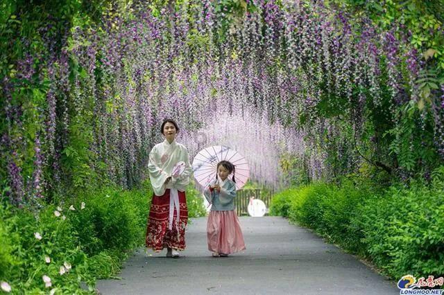 泰安市第一人民医院:“种植牙”技术 让患者乐享美食、笑口常开